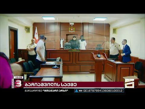 ადვოკატის თქმით, ივანიშვილი ბაჩალიაშვილს უკრაინის მხარდაჭერისთვის სჯის