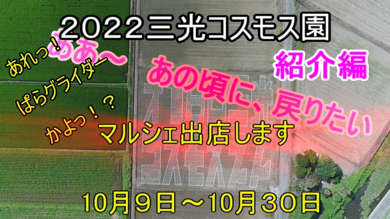 2022三光コスモス園コスモスマルシェ出店 ああ あの頃に戻りたい コスモス園紹介 14 15パラグライダーフライト編 Youtube 2022三光コスモス園コスモスマルシェ出店 ああ あの頃に戻りたい コスモス園紹介 14 15パラグライダーフライト編 Youtube