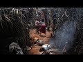 Centrafrique  des dplacs reoivent de laide pour sortir des camps