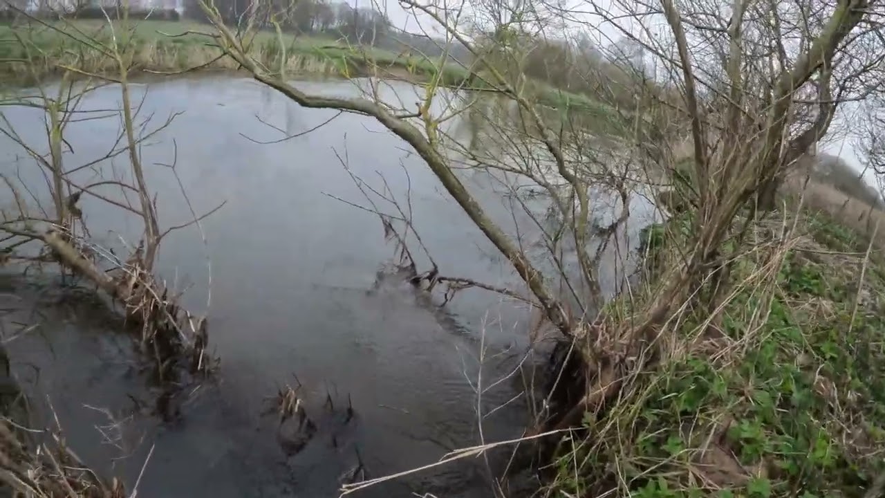 Dramatisk fight i Fladsåen med blanklaks.