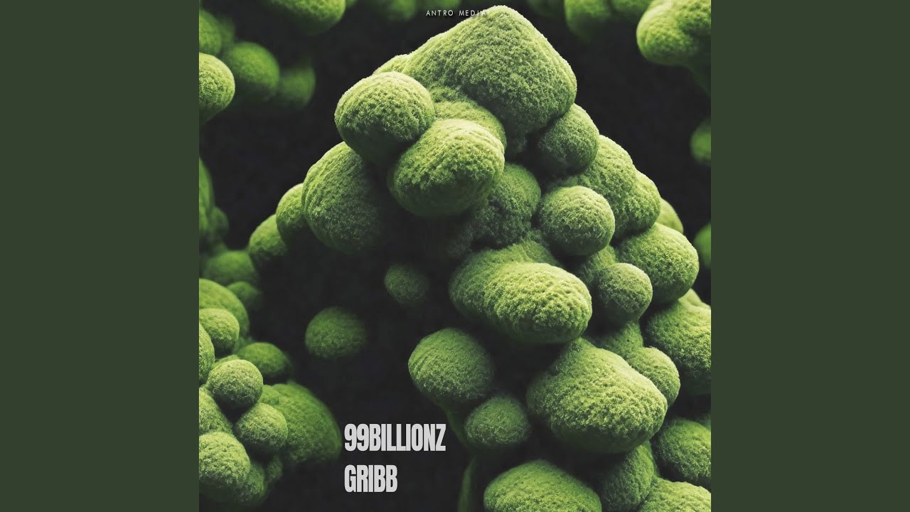 Watch GRIBB on YouTube Watch GRIBB on YouTube