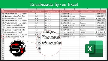 Fijar encabezado en Tablas de Excel #informatica #excel