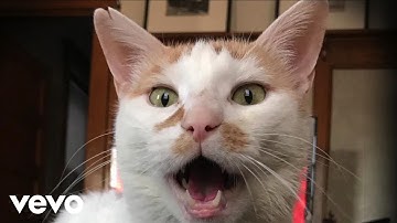 We Are Scientists - Not Another Word (Lyric Video)