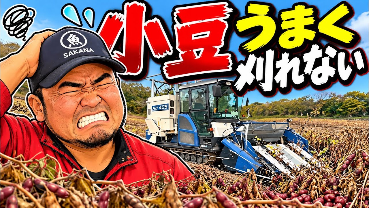 October 5, 2026: Having trouble harvesting adzuki beans - YouTube