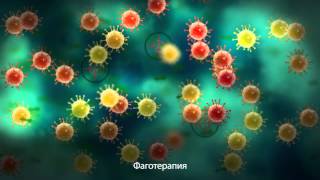 Пожиратели бактерий. Бактериофаги