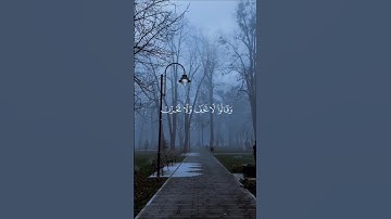 القارئ عبد الرحمن مسعد سورة العنكبوت