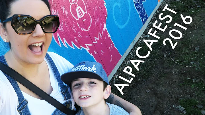 WE WENT TO ALPACAFEST // The Shugg Life