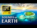 The Sounds of the Earth 12K VIDEO ULTRA HD
