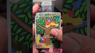 Pokemon Collection - Ounishi
