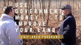 IMPROVE YOUR PROPERTY WITH GOVERNMENT FUNDING || EQIP NRCS PROGRAMS || Food plots, patch clear cut