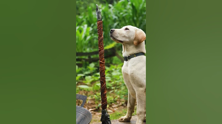 The hero and the dog actually deal with the crayfish in this way #douyin #tiktok #rural #shorts