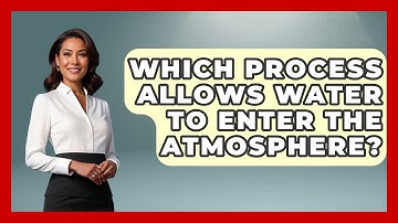 Which Process Allows Water To Enter The Atmosphere? - Weather Watchdog