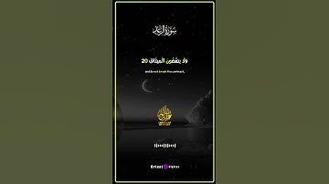 "تلاوة تأخذك بعيدًا عن ضجيج الدنيا لتعيش لحظة صفاء" بصوت القارئ عبدالله مصطفي
