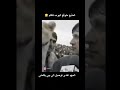 علاوي حبيب كلبي اني خادمكم الصغير ههههه علاوي حبيب كلبي اني خادمكم الصغير ههههه