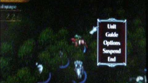 Fire Emblem:Path of Radiance (Hard Mode) Chapter 6:A brief Diversion part 1/2