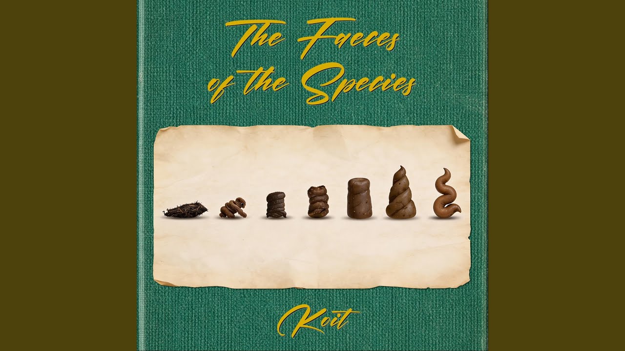 Comments 3 adlı videoyu YouTube'da izle Comments 3 adlı videoyu YouTube'da izle