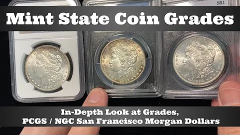 Coin Grading Tips - Why Coins Received Their Grade - MS PCGS / NGC San Francisco Morgan Dollars