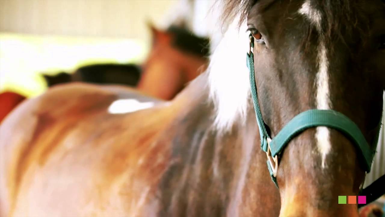 Présentation : 120 ans Institut de Genech