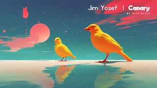 🎧 Jim Yosef - Canary | House | No Copyright 🔥