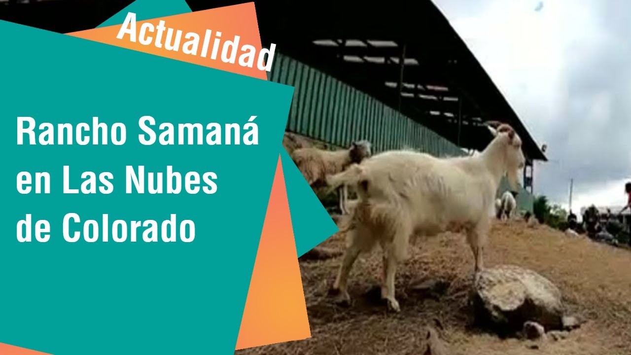 Visite el Rancho Samaná en Las Nubes de Coronado | Actualidad