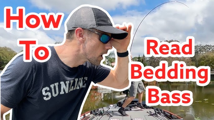 ULTRA CLEAR Underwater Bed Fishing for Bass w/ Incredible Footage! (Tips &  Tricks) 