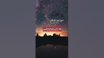 سورة هود الايه 41-43