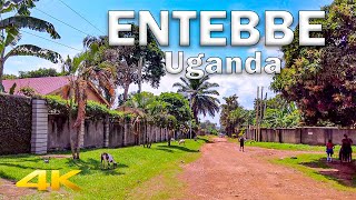 Entebbe Walking Tour - Kampala's Airport city【4K - 60fps】🇺🇬