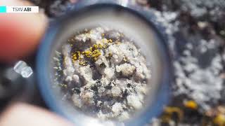 Abcourt Mines Inc. (TSXV:ABI) THE Mining Investment Event of the North C-Suite Interview