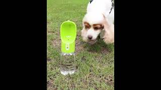 GlowGuide™ LED Retractable Dog Leash – 360° Tangle-Free with Integrated Spotlight