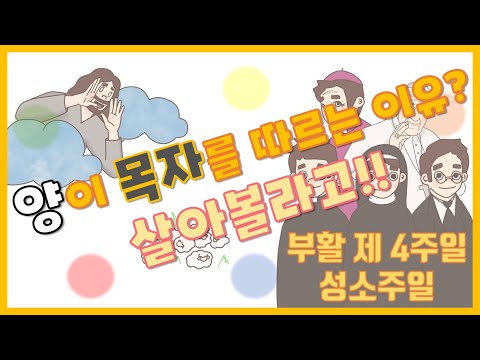 영상썸네일