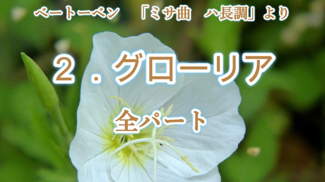 ベートーヴェン:ミサ曲 ハ長調  他[DVD](日本語字幕) 楽天市場】ベートーヴェン: ミサ曲 ハ長調 他 : ナクソス ミュージック