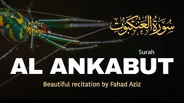 Beautiful Surah Al Ankabut Ankaboot سورة العنكبوت  Fahad Aziz #ankabut #surahankabut #surahankaboot