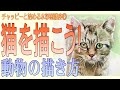 初心者のための水彩画講座⑦水彩画で猫を描こう！