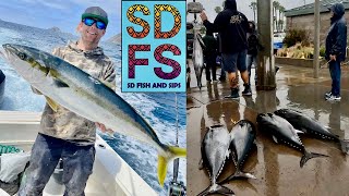 Bluefin Tuna Sportfishing Report Yellowtail Fishing Coronado Islands San Diego May Spring 2024 SDFS
