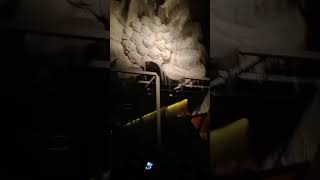 Tala Protyay #shortvideo #travel #durgapuja #talaprattoy #shorts