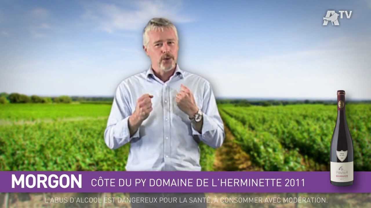 Foire Aux Vins Auchan 2012 - Domaine de l'Herminette
