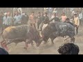Sultan Mahalgurada Vs Shere Babbar Lalbag Hello Ki Takkar Aambada 2026 