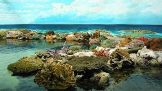 Fairmont- Bikini Atoll