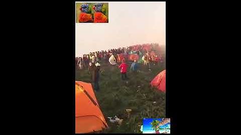 ايات بينات من القرآن الكريم قراءة رائعة