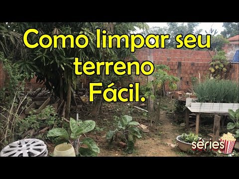 1º vídeo da Série construindo minha área de lazer - como fazer limpeza do quintal terreno muito sujo