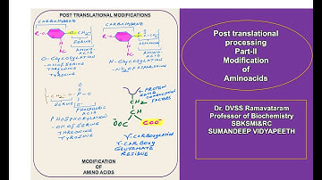 Post translational modifictions part II Modifications of amino acids  dr DVSSR