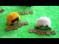Beginning of video