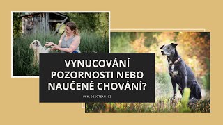 Vynucování pozornosti nebo naučené chování