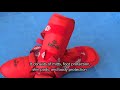 Learning about sports - Karate