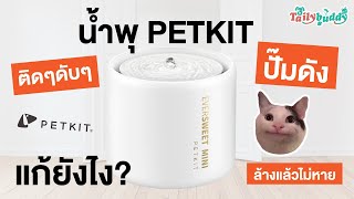 น้ำพุแมวเสีย แก้เองได้ง่ายๆ PETKIT