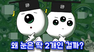 사람의 눈이 3~4개였다면 더 좋지 않았을까?