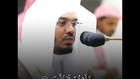 القارئ ياسر الدوسري ((سورة الاحقاف))