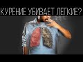 Как курение убивает лёгкие? | ПОЛЕЗНЫЙ ЮТУБ