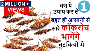 बस ये एक उपाय कर ले बहुत ही आसानी से सारे कॉकरोच भागेंगे चुटकियो में Get Rid Of Cockroaches Forever