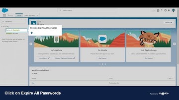 How to Use Expire all Password Option in Salesforce Lightning